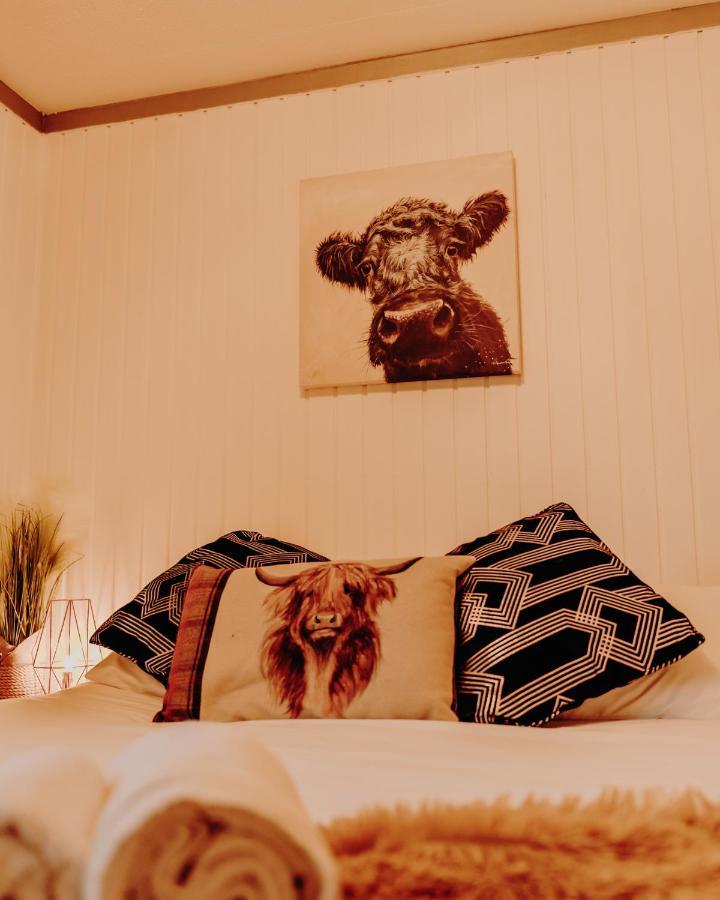 Wooden Cosy Retreat Hunters Quay Villa Dunoon Buitenkant foto